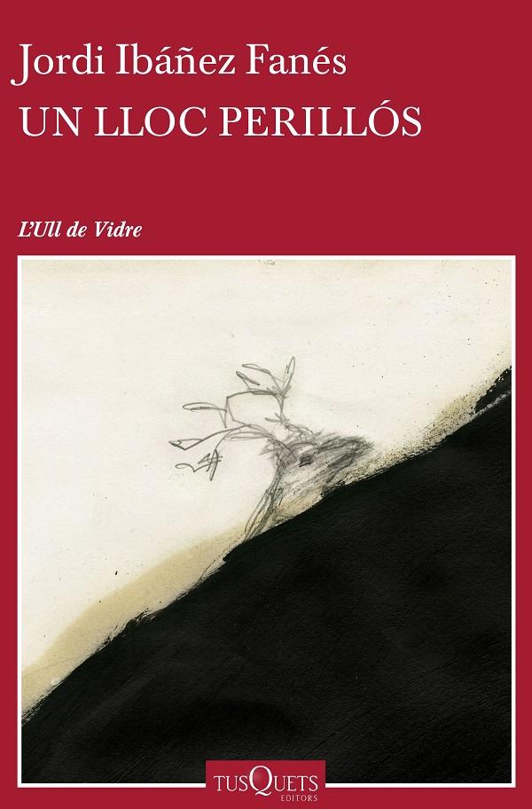 UN LLOC PERILLÓS | 9788490662854 | JORDI IBÁÑEZ FANÉS | Llibreria Ombra | Llibreria online de Rubí, Barcelona | Comprar llibres en català i castellà online