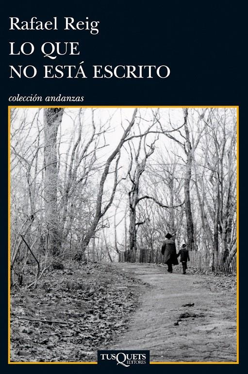 LO QUE NO ESTÁ ESCRITO | 9788483834282 | REIG CARRIEDO, RAFAEL | Llibreria Ombra | Llibreria online de Rubí, Barcelona | Comprar llibres en català i castellà online