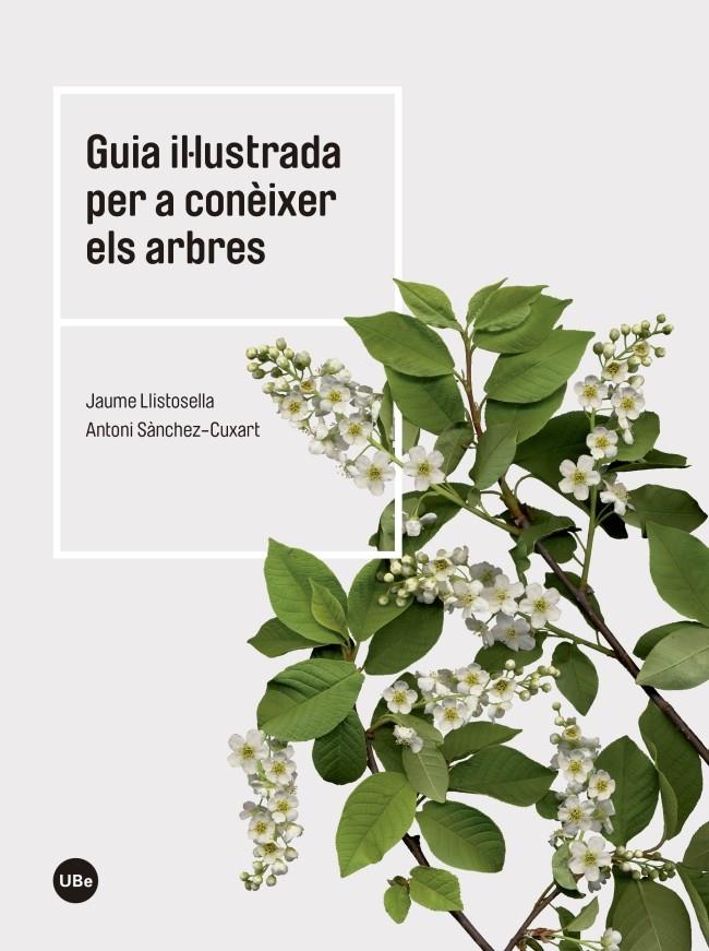 GUIA IL·LUSTRADA PER A CONÈIXER ELS ARBRES | 9788447542444 | LLISTOSELLA VIDAL, JAUME/SÀNCHEZ CUXART, ANTONI | Llibreria Ombra | Llibreria online de Rubí, Barcelona | Comprar llibres en català i castellà online