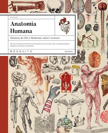 ANATOMIA HUMANA | 9788410417724 | CASSANY, MIA | Llibreria Ombra | Llibreria online de Rubí, Barcelona | Comprar llibres en català i castellà online