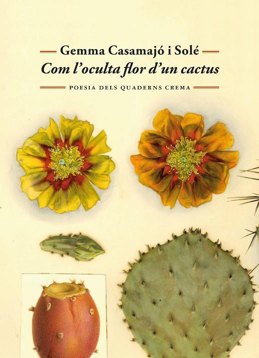 COM L'OCULTA FLOR D'UN CACTUS | 9788477277071 | CASAMAJÓ I SOLÉ, GEMMA | Llibreria Ombra | Llibreria online de Rubí, Barcelona | Comprar llibres en català i castellà online