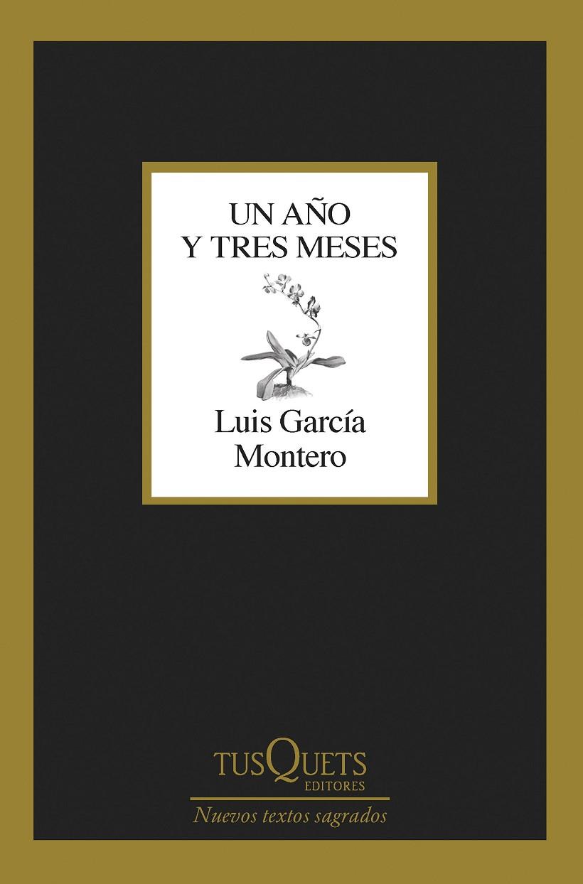 UN AÑO Y TRES MESES | 9788411071475 | GARCÍA MONTERO, LUIS | Llibreria Ombra | Llibreria online de Rubí, Barcelona | Comprar llibres en català i castellà online