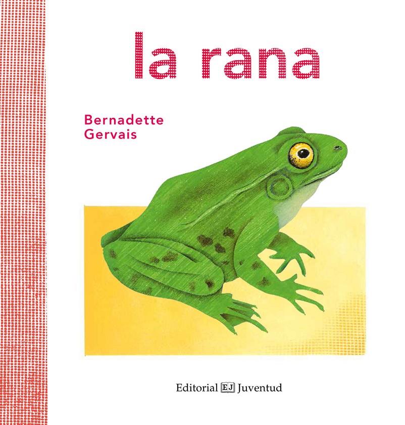 LA RANA | 9788426144584 | GERVAIS, BERNADETTE | Llibreria Ombra | Llibreria online de Rubí, Barcelona | Comprar llibres en català i castellà online
