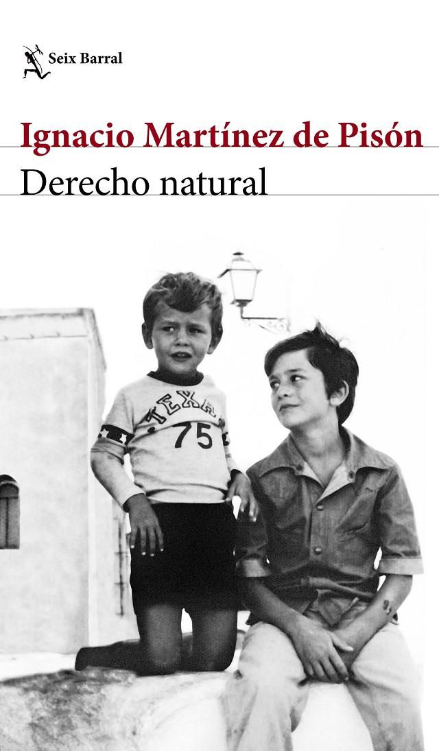 DERECHO NATURAL | 9788432232220 | IGNACIO MARTÍNEZ DE PISÓN | Llibreria Ombra | Llibreria online de Rubí, Barcelona | Comprar llibres en català i castellà online