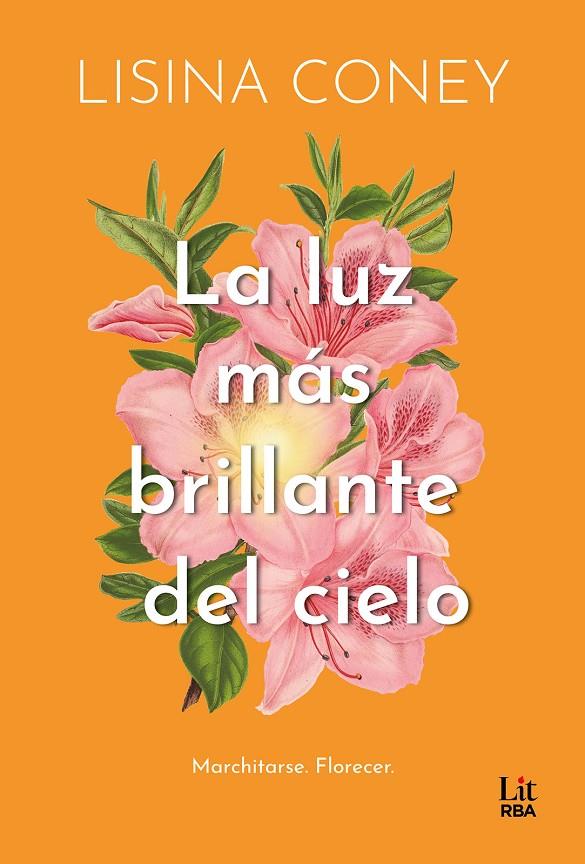 LA LUZ MÁS BRILLANTE DEL CIELO | 9788411329323 | CONEY, LISINA | Llibreria Ombra | Llibreria online de Rubí, Barcelona | Comprar llibres en català i castellà online