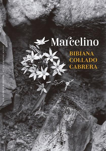 MARCELINO | 9788410476431 | COLLADO CABRERA, BIBIANA | Llibreria Ombra | Llibreria online de Rubí, Barcelona | Comprar llibres en català i castellà online