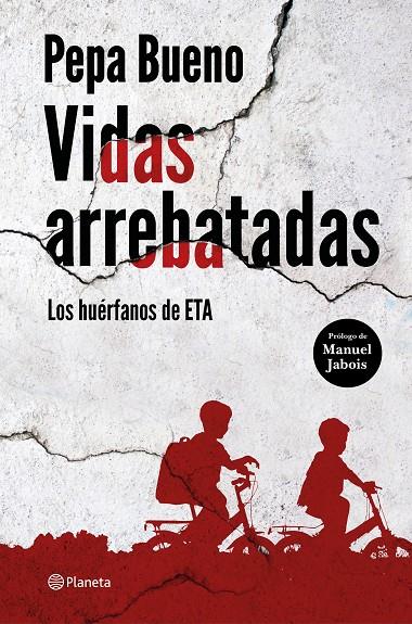 VIDAS ARREBATADAS | 9788408226765 | BUENO, PEPA | Llibreria Ombra | Llibreria online de Rubí, Barcelona | Comprar llibres en català i castellà online