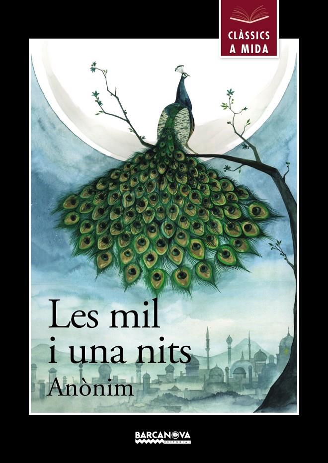 LES MIL I UNA NITS | 9788448942687 | ANÒNIM, ANÒNIM | Llibreria Ombra | Llibreria online de Rubí, Barcelona | Comprar llibres en català i castellà online