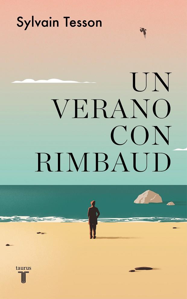 UN VERANO CON RIMBAUD | 9788430625864 | TESSON, SYLVAIN | Llibreria Ombra | Llibreria online de Rubí, Barcelona | Comprar llibres en català i castellà online