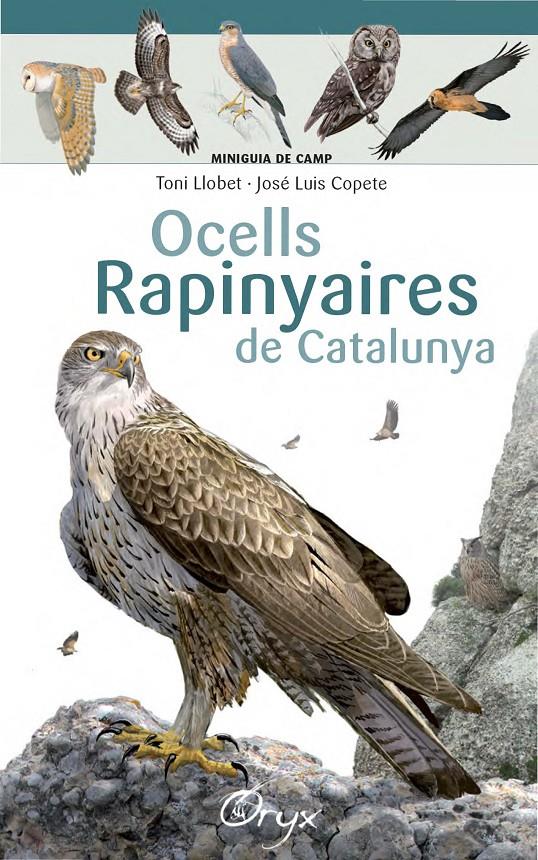 OCELLS RAPINYAIRES DE CATALUNYA | 9788490346785 | LLOBET FRANÇOIS, TONI/COPETE, JOSÉ LUIS | Llibreria Ombra | Llibreria online de Rubí, Barcelona | Comprar llibres en català i castellà online