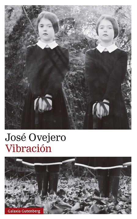 VIBRACIÓN | 9788419738615 | OVEJERO, JOSÉ | Llibreria Ombra | Llibreria online de Rubí, Barcelona | Comprar llibres en català i castellà online