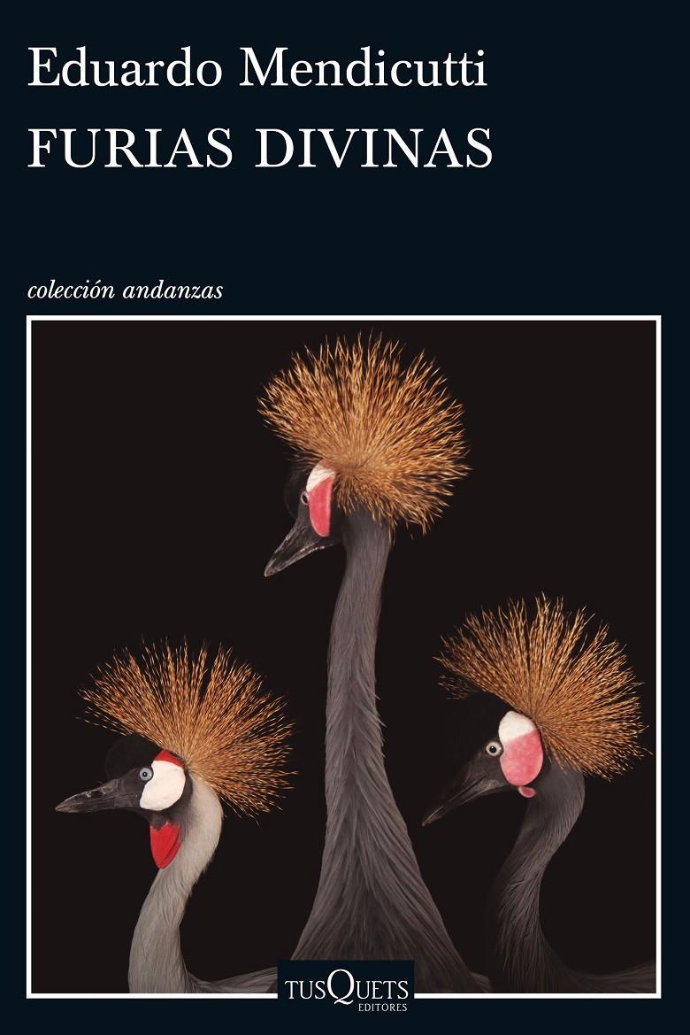 FURIAS DIVINAS | 9788490662465 | EDUARDO MENDICUTTI | Llibreria Ombra | Llibreria online de Rubí, Barcelona | Comprar llibres en català i castellà online
