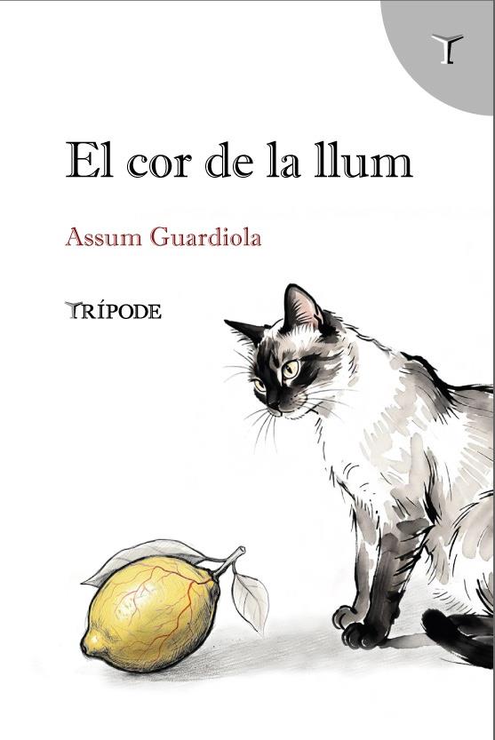 EL COR DE LA LLUM | 9791399090376 | GUARDIOLA, ASSUM | Llibreria Ombra | Llibreria online de Rubí, Barcelona | Comprar llibres en català i castellà online