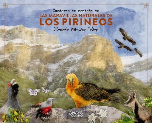 CUADERNO DE MONTAÑA DE LAS MARAVILLAS NATURALES DE LOS PIRINEOS | 9788491586036 | VIÑUALES COBOS, EDUARDO | Llibreria Ombra | Llibreria online de Rubí, Barcelona | Comprar llibres en català i castellà online