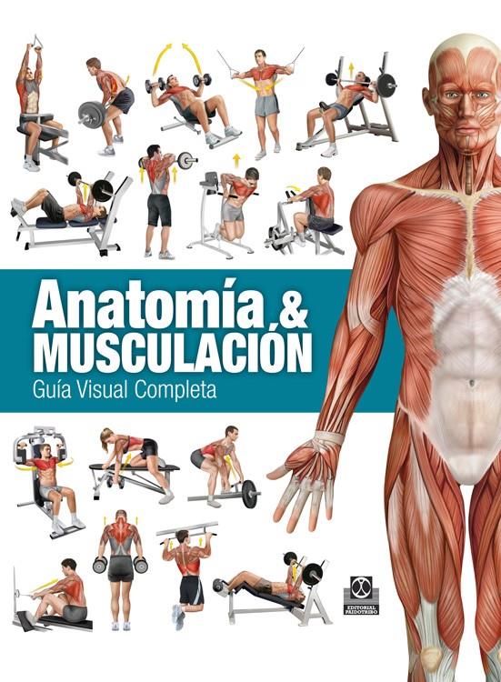 ANATOMÍA & MUSCULACIÓN. GUÍA VISUAL COMPLETA (COLOR) | 9788499104911 | CÁNOVAS LINARES, RICARDO | Llibreria Ombra | Llibreria online de Rubí, Barcelona | Comprar llibres en català i castellà online