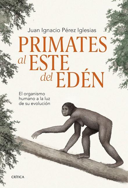 PRIMATES AL ESTE DEL EDÉN | 9788491995869 | PÉREZ IGLESIAS, JUAN IGNACIO | Llibreria Ombra | Llibreria online de Rubí, Barcelona | Comprar llibres en català i castellà online