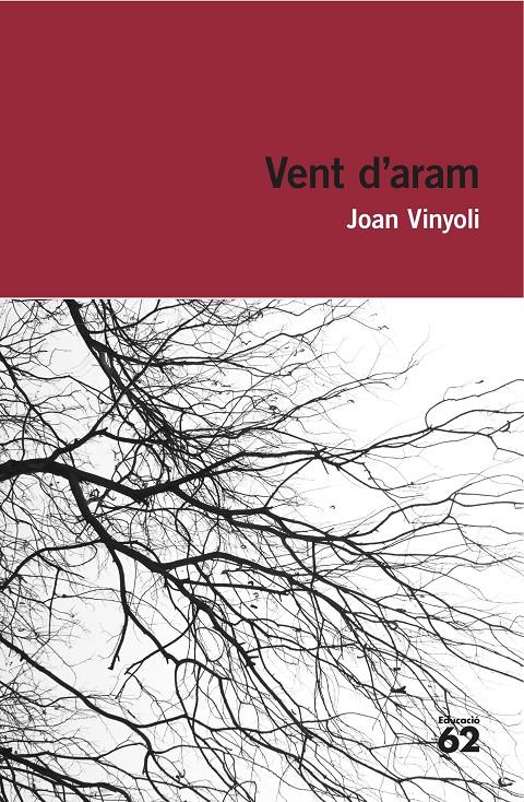 VENT D'ARAM | 9788415954248 | JOAN VINYOLI PLADEVALL | Llibreria Ombra | Llibreria online de Rubí, Barcelona | Comprar llibres en català i castellà online