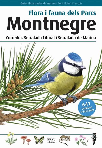 FLORA I FAUNA DELS PARCS MONTNEGRE CORREDOR, SERRALADA LITORAL I SERRALADA DE MA | 9788496905405 | LLOBET FRANÇOIS, TONI | Llibreria Ombra | Llibreria online de Rubí, Barcelona | Comprar llibres en català i castellà online