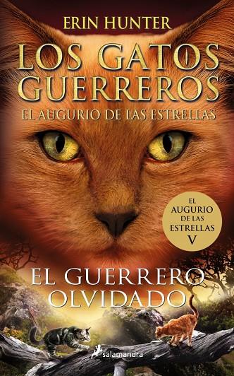 LOS GATOS GUERREROS | EL AUGURIO DE LAS ESTRELLAS 5 - EL GUERRERO OLVIDADO | 9788419275318 | HUNTER, ERIN | Llibreria Ombra | Llibreria online de Rubí, Barcelona | Comprar llibres en català i castellà online