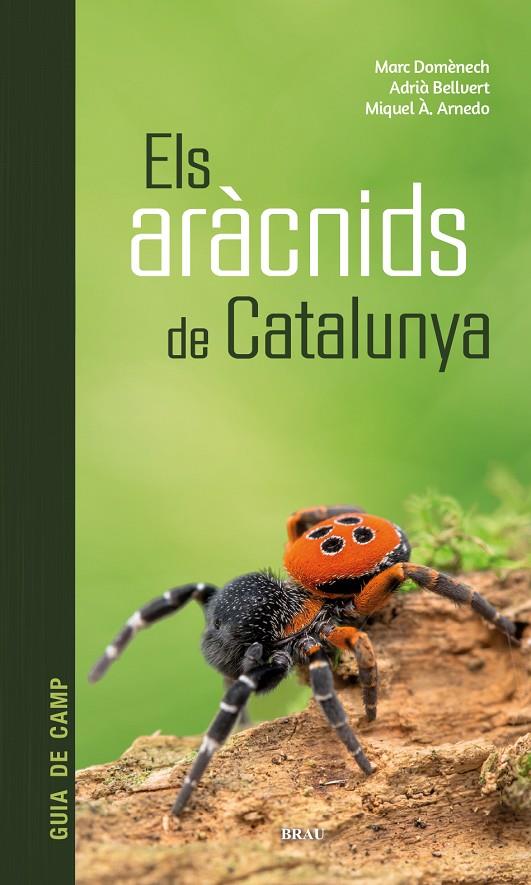 ELS ARÀCNIDS DE CATALUNYA | 9788418096686 | DOMÈNECH ANDREU, MARC/BELLVERT BANTÍ, ADRIÀ/ARNEDO LOMBARTE, MIQUEL ÀNGEL | Llibreria Ombra | Llibreria online de Rubí, Barcelona | Comprar llibres en català i castellà online