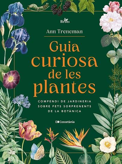 GUIA CURIOSA DE LES PLANTES | 9788413565354 | TRENEMAN, ANN | Llibreria Ombra | Llibreria online de Rubí, Barcelona | Comprar llibres en català i castellà online