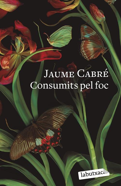 CONSUMITS PEL FOC | 9788419107206 | CABRÉ, JAUME | Llibreria Ombra | Llibreria online de Rubí, Barcelona | Comprar llibres en català i castellà online