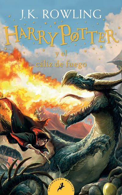 HARRY POTTER Y EL CÁLIZ DE FUEGO (HARRY POTTER 4) | 9788418173110 | ROWLING, J.K. | Llibreria Ombra | Llibreria online de Rubí, Barcelona | Comprar llibres en català i castellà online