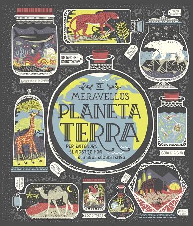 EL MERAVELLÓS PLANETA TERRA | 9788491378778 | IGNOTOFSKY, RACHEL | Llibreria Ombra | Llibreria online de Rubí, Barcelona | Comprar llibres en català i castellà online