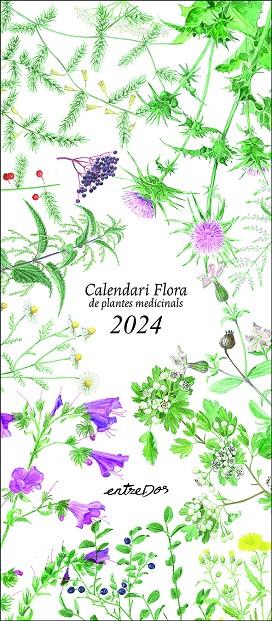 CALENDARI FLORA DE PLANTES MEDICINALS 2024 | 9788418900624 | VILALDAMA, PERE/VILALDAMA, PERE | Llibreria Ombra | Llibreria online de Rubí, Barcelona | Comprar llibres en català i castellà online