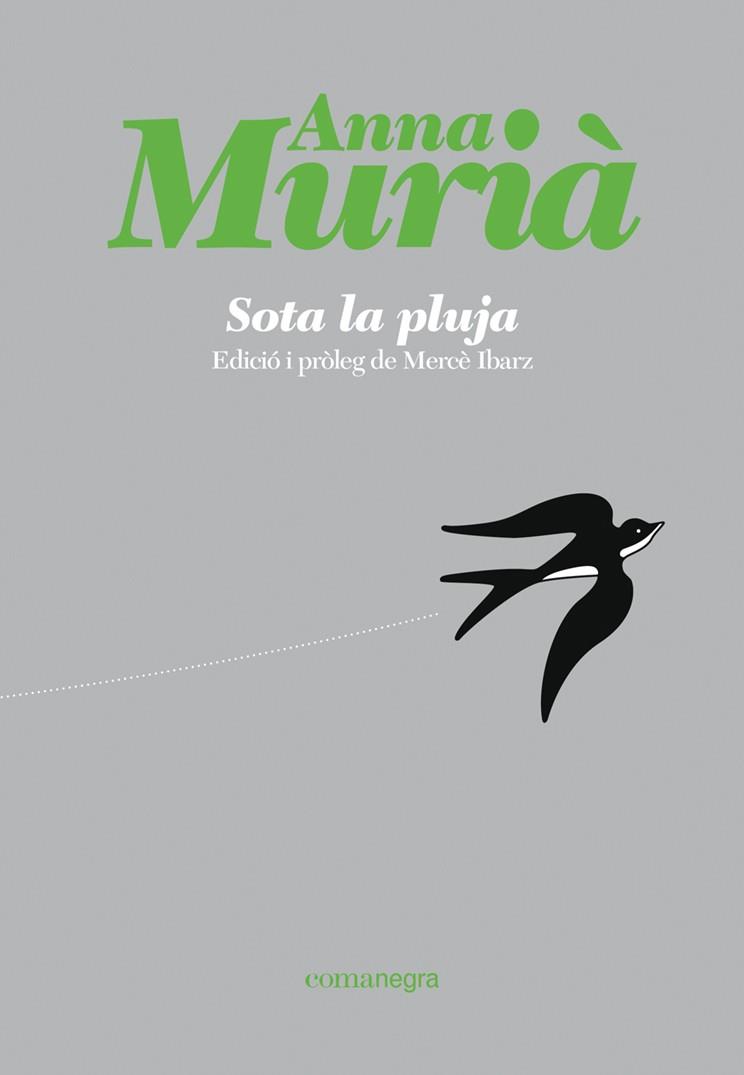 SOTA LA PLUJA | 9788418857430 | MURIÀ ROMANÍ, ANNA | Llibreria Ombra | Llibreria online de Rubí, Barcelona | Comprar llibres en català i castellà online
