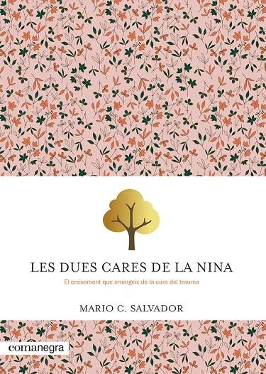LES DUES CARES DE LA NINA | 9788410161047 | SALVADOR, MARIO C. | Llibreria Ombra | Llibreria online de Rubí, Barcelona | Comprar llibres en català i castellà online