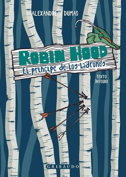 ROBIN HOOD | 9788412340877 | DUMAS, ALEXANDRE | Llibreria Ombra | Llibreria online de Rubí, Barcelona | Comprar llibres en català i castellà online