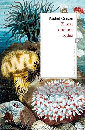 EL MAR QUE NOS RODEA | 9788491991069 | CARSON, RACHEL | Llibreria Ombra | Llibreria online de Rubí, Barcelona | Comprar llibres en català i castellà online