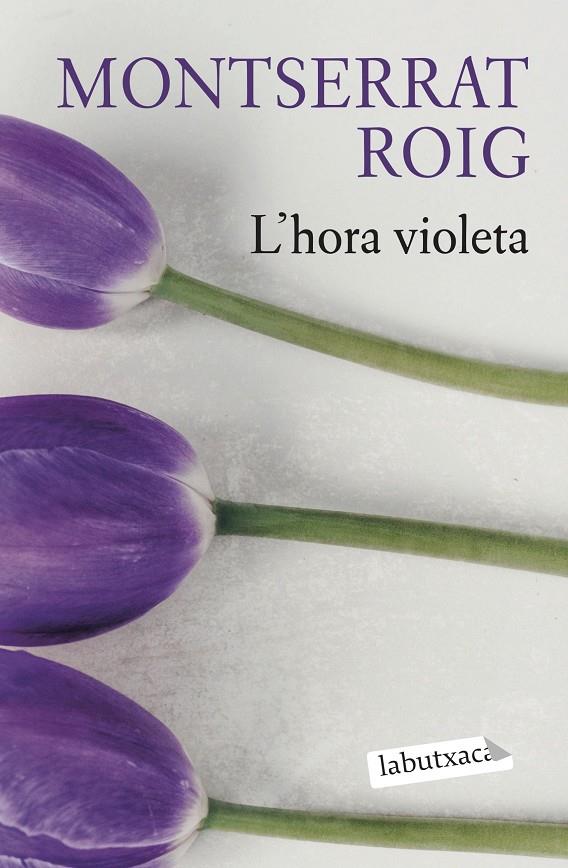 L'HORA VIOLETA | 9788419107503 | ROIG, MONTSERRAT | Llibreria Ombra | Llibreria online de Rubí, Barcelona | Comprar llibres en català i castellà online