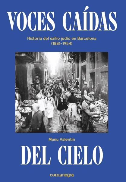 VOCES CAÍDAS DEL CIELO | 9788418022036 | VALENTÍN, MANU | Llibreria Ombra | Llibreria online de Rubí, Barcelona | Comprar llibres en català i castellà online