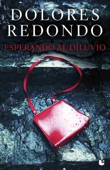 ESPERANDO AL DILUVIO | 9788423363797 | REDONDO, DOLORES | Llibreria Ombra | Llibreria online de Rubí, Barcelona | Comprar llibres en català i castellà online