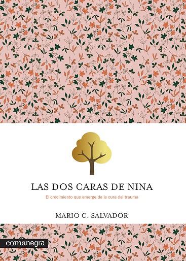 LAS DOS CARAS DE NINA | 9788419590992 | SALVADOR, MARIO C. | Llibreria Ombra | Llibreria online de Rubí, Barcelona | Comprar llibres en català i castellà online