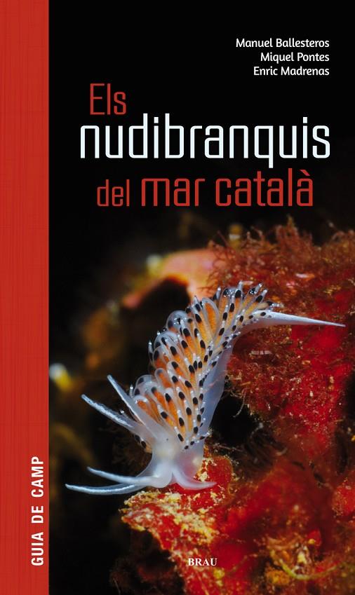 ELS NUDIBRANQUIS DEL MAR CATALÀ | 9788415885924 | BALLESTEROS VÁZQUEZ, MANUEL/PONTES GARCIA, MIQUEL/MADRENAS TOMÀS, ENRIC | Llibreria Ombra | Llibreria online de Rubí, Barcelona | Comprar llibres en català i castellà online