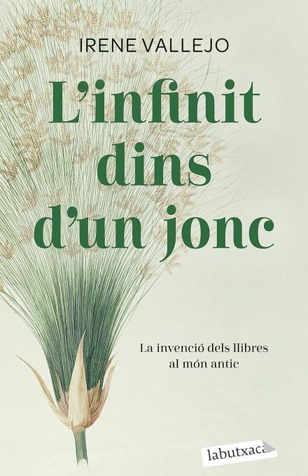 L'INFINIT DINS D'UN JONC | 9788419107121 | VALLEJO, IRENE | Llibreria Ombra | Llibreria online de Rubí, Barcelona | Comprar llibres en català i castellà online