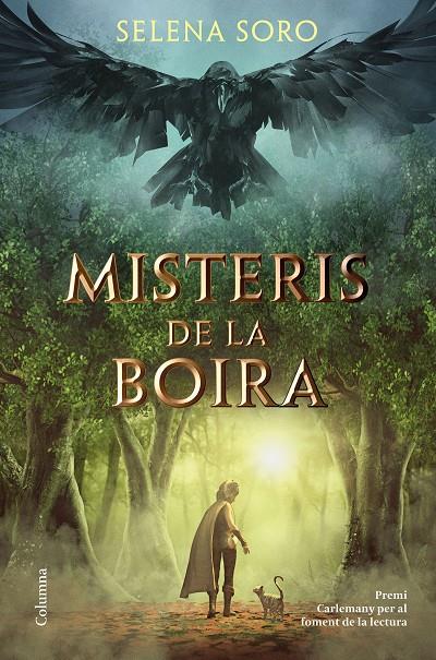 MISTERIS DE LA BOIRA | 9788466426619 | SORO, SELENA | Llibreria Ombra | Llibreria online de Rubí, Barcelona | Comprar llibres en català i castellà online