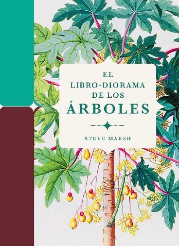 EL LIBRO-DIORAMA DE LOS ÁRBOLES | 9788412386196 | MARSH, STEVE | Llibreria Ombra | Llibreria online de Rubí, Barcelona | Comprar llibres en català i castellà online