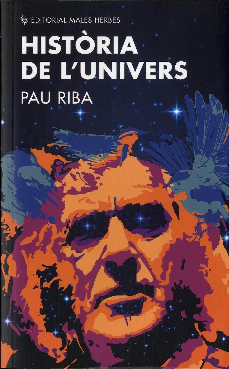 HISTÒRIA DE L'UNIVERS | 9788412216776 | RIBA, PAU | Llibreria Ombra | Llibreria online de Rubí, Barcelona | Comprar llibres en català i castellà online