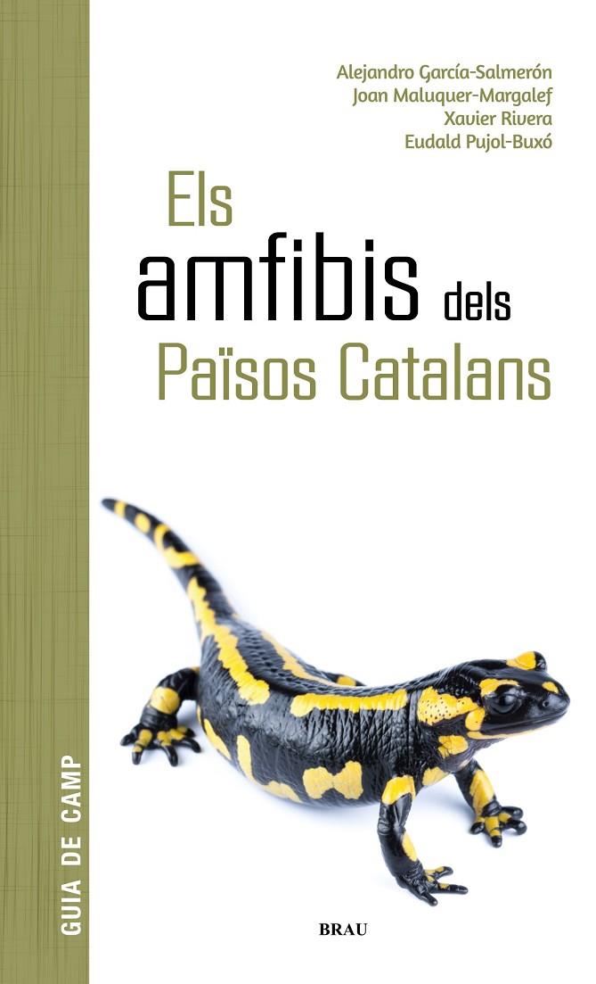 ELS AMFIBIS DELS PAÏSOS CATALANS | 9788418096341 | GARCÍA SALMERÓN, ALEJANDRO/MALUQUER MARGALEF, JOAN/RIVERA MULA, XAVIER/PUJOL BUXÓ, EUDALD | Llibreria Ombra | Llibreria online de Rubí, Barcelona | Comprar llibres en català i castellà online