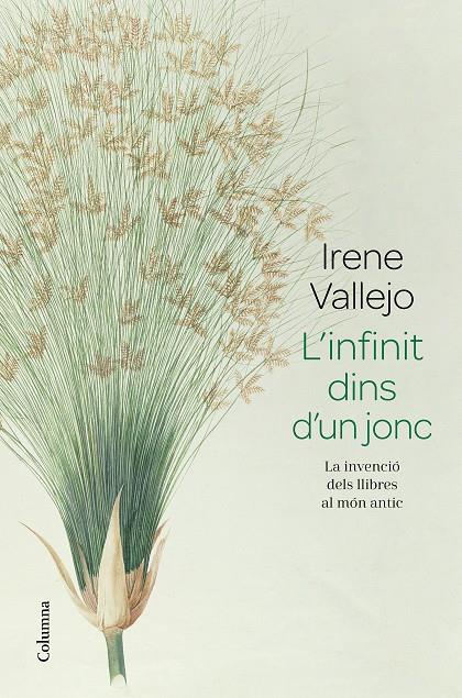 L'INFINIT DINS D'UN JONC | 9788466426947 | VALLEJO, IRENE | Llibreria Ombra | Llibreria online de Rubí, Barcelona | Comprar llibres en català i castellà online
