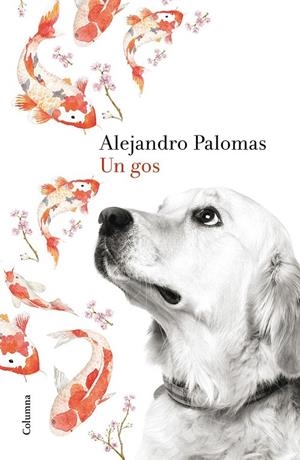 UN GOS | 9788466420426 | ALEJANDRO PALOMAS | Llibreria Ombra | Llibreria online de Rubí, Barcelona | Comprar llibres en català i castellà online