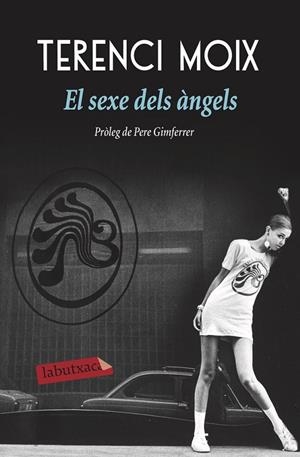 EL SEXE DELS ÀNGELS | 9788417031596 | MOIX, TERENCI | Llibreria Ombra | Llibreria online de Rubí, Barcelona | Comprar llibres en català i castellà online