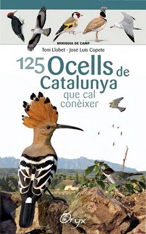 125 OCELLS DE CATALUNYA | 9788490346747 | LLOBET FRANÇOIS, TONI/COPETE, JOSÉ LUIS | Llibreria Ombra | Llibreria online de Rubí, Barcelona | Comprar llibres en català i castellà online