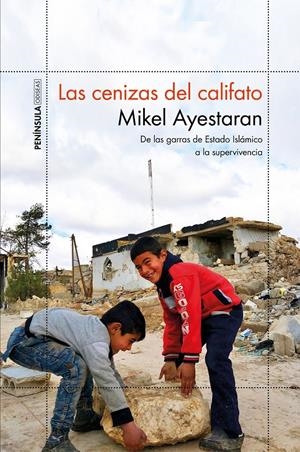 LAS CENIZAS DEL CALIFATO | 9788499427065 | AYESTARAN, MIKEL | Llibreria Ombra | Llibreria online de Rubí, Barcelona | Comprar llibres en català i castellà online