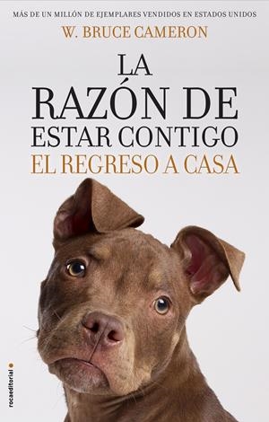 LA RAZÓN DE ESTAR CONTIGO. EL REGRESO A CASA | 9788417092887 | CAMERON, W. BRUCE | Llibreria Ombra | Llibreria online de Rubí, Barcelona | Comprar llibres en català i castellà online