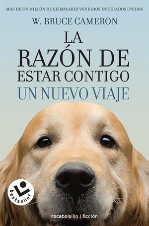 LA RAZÓN DE ESTAR CONTIGO. UN NUEVO VIAJE | 9788416240999 | CAMERON, W. BRUCE | Llibreria Ombra | Llibreria online de Rubí, Barcelona | Comprar llibres en català i castellà online